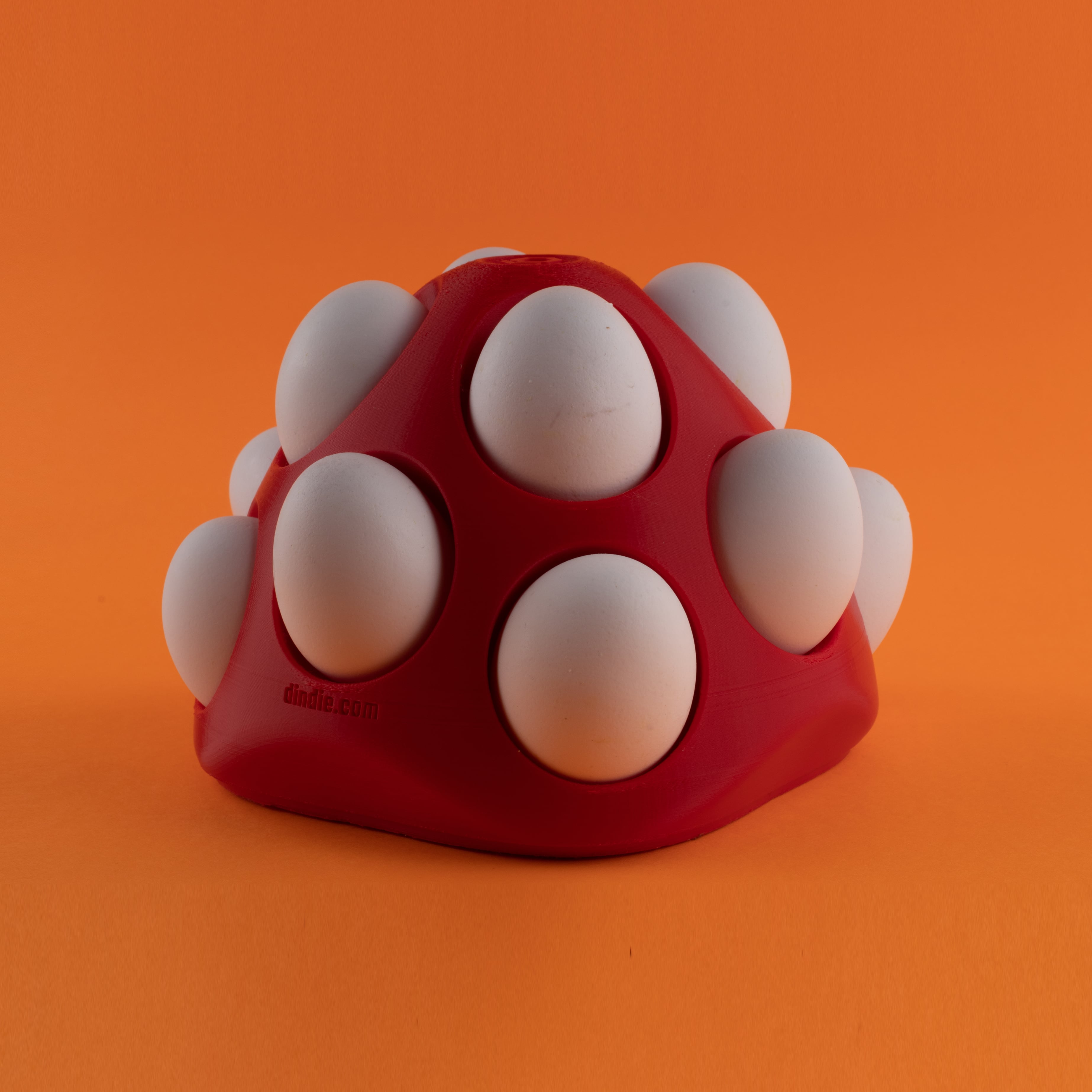 Shelly – thumbnail