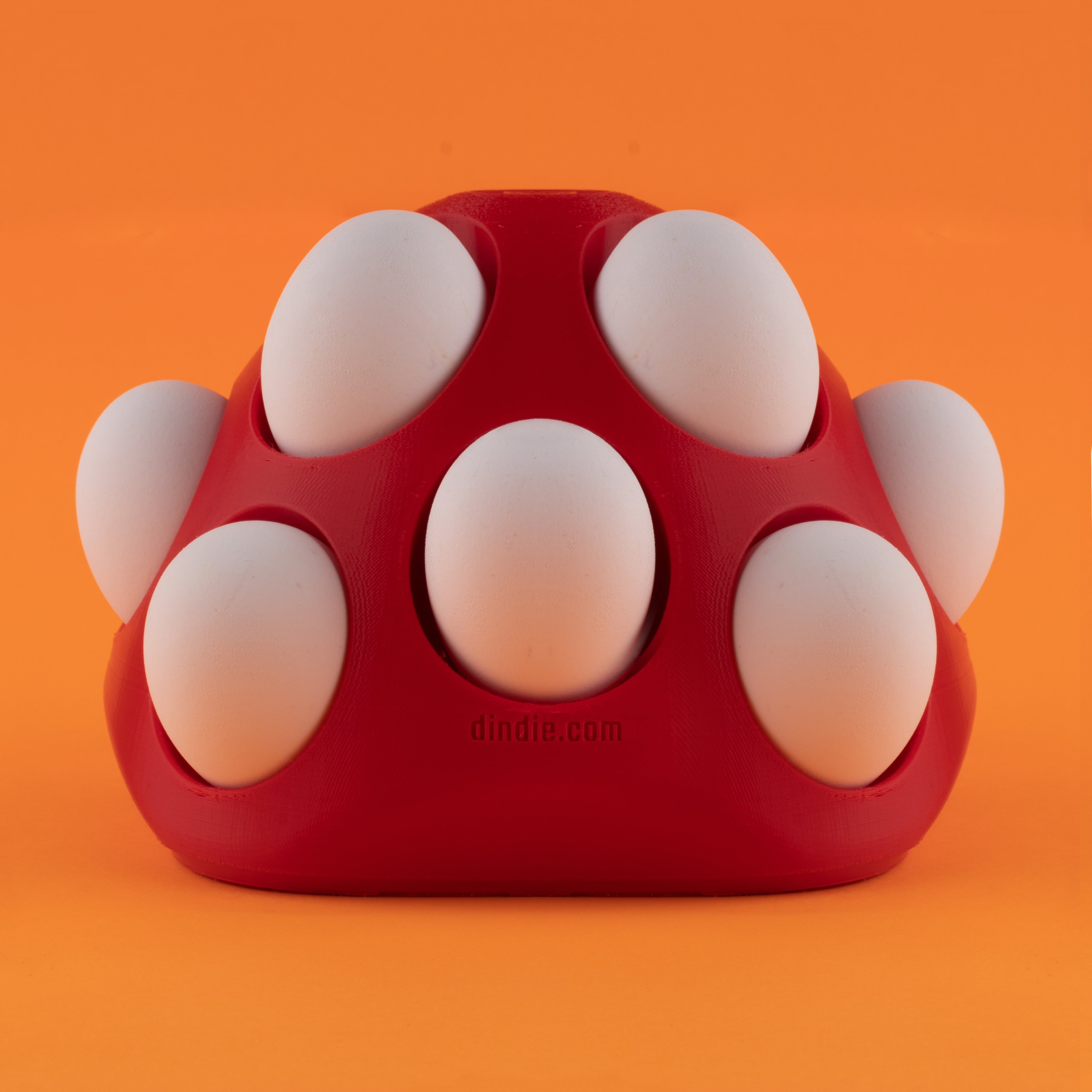 Shelly – thumbnail