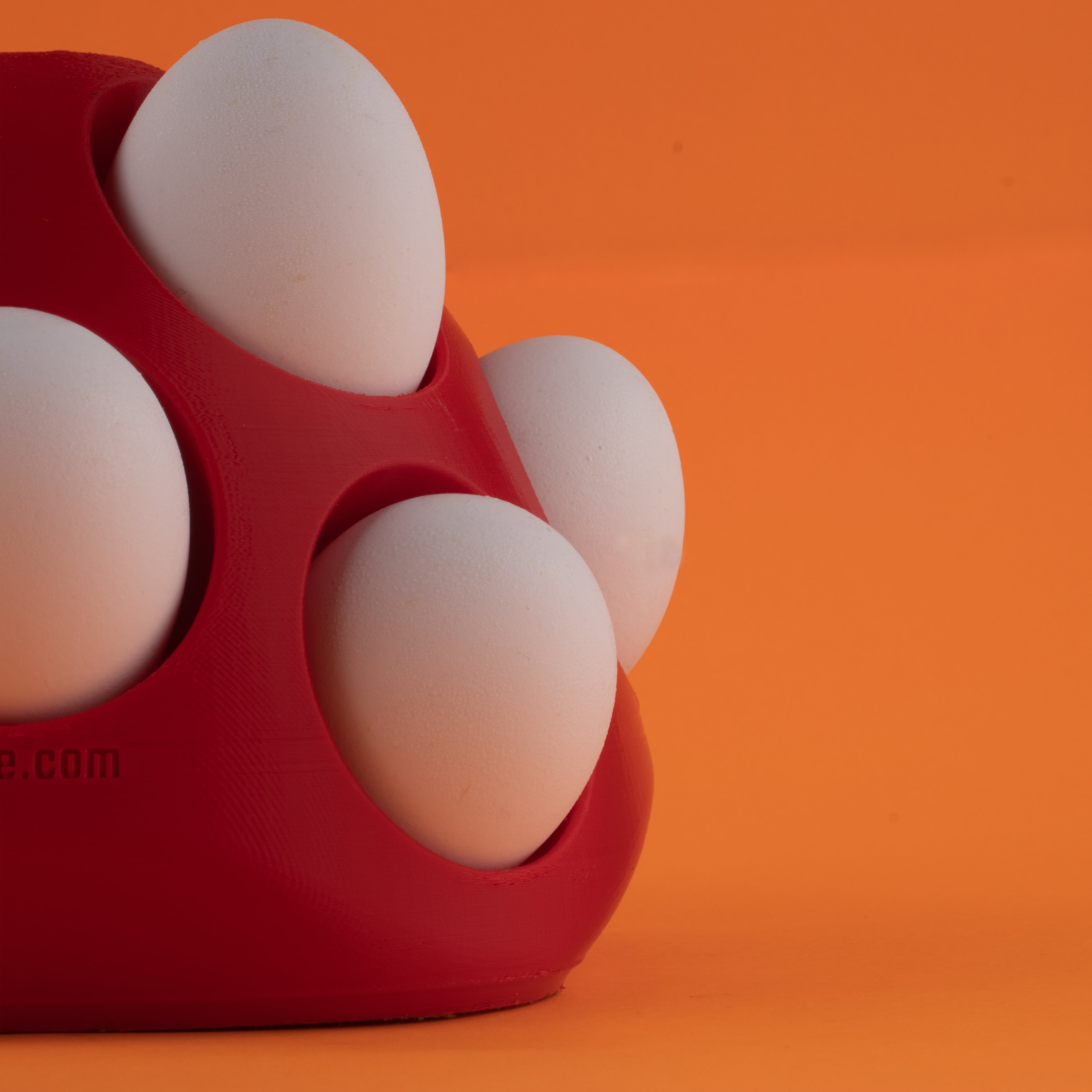 Shelly – thumbnail