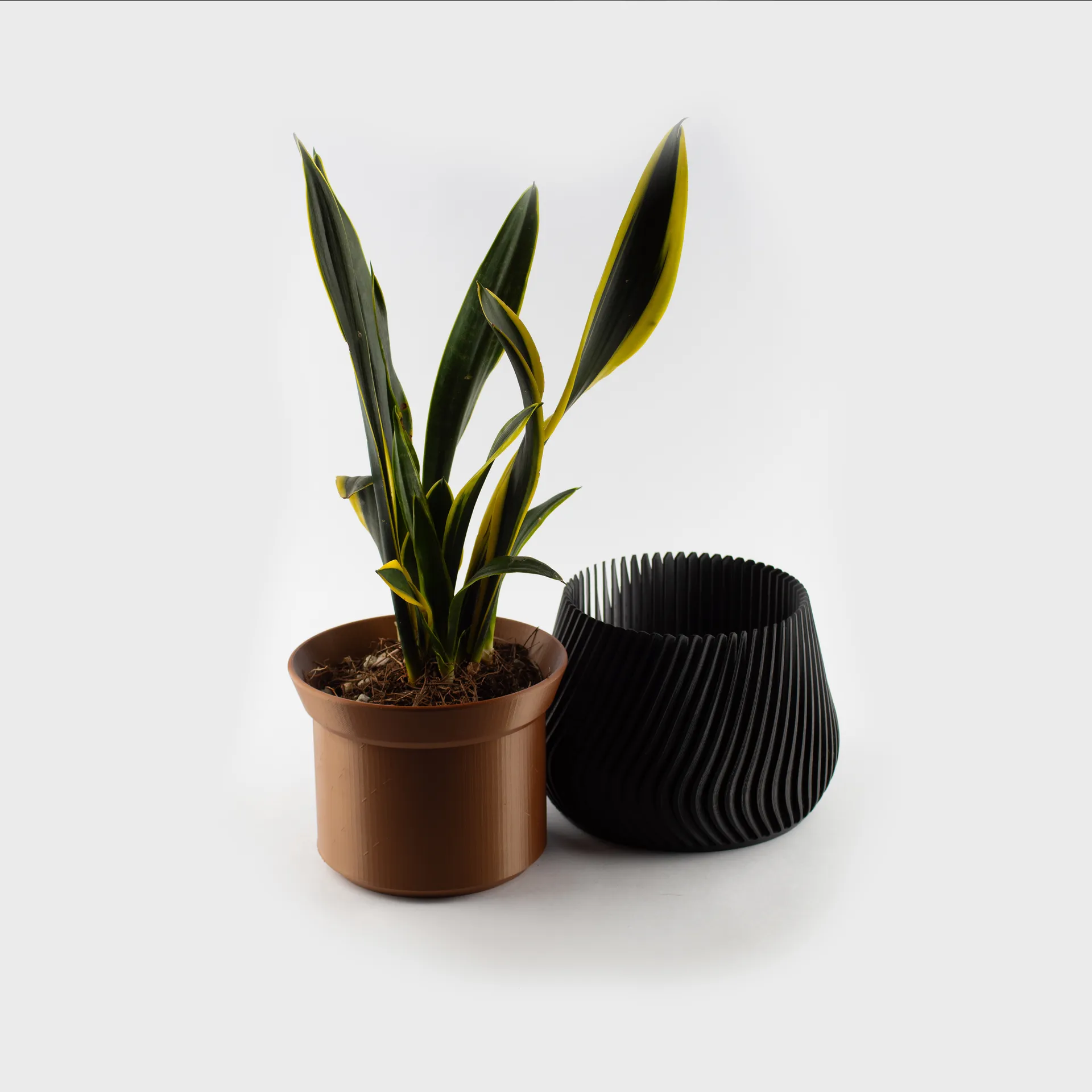 Podia – thumbnail